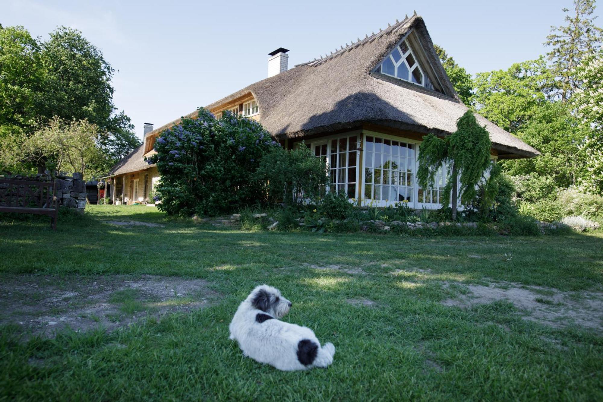 Muhu Tonise Talu Hotel Liiva  Kültér fotó